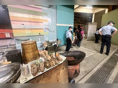 Hong Kong hawker, 90, asks authorities to change ‘outdated’ laws governing trade