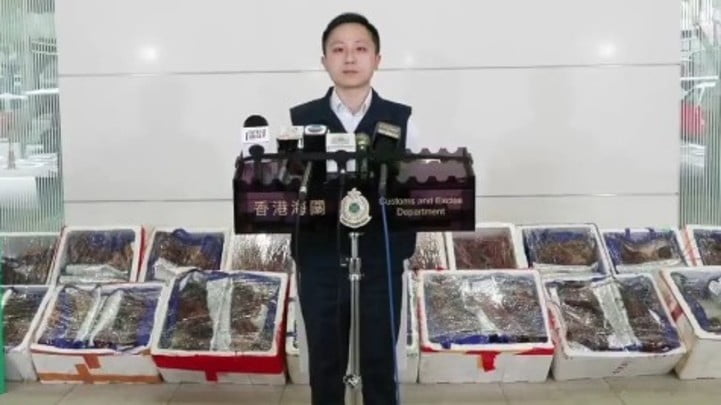 Two arrested for smuggling lobsters and graphics cards in private car