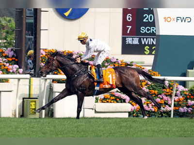 Hong Kong horses dominate at Sha Tin Champions Day