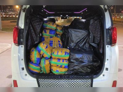 Hong Kong customs arrests suspects trying to smuggle live lobsters to mainland China