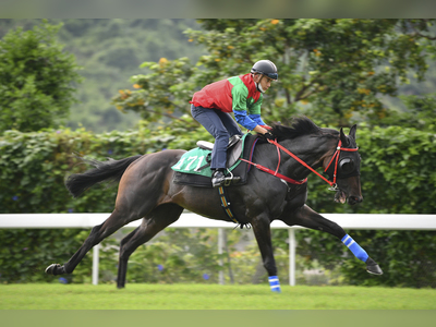 Panfield Eyeing Reclamation in G1 Standard Chartered Champions & Chater Cup