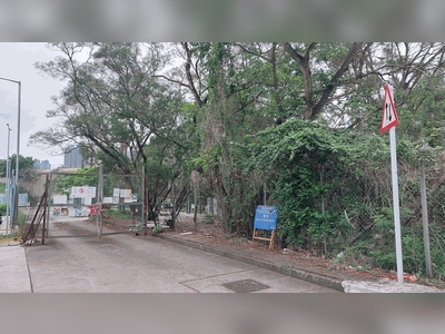 Man hospitalized as city sees second bee sting incident in one day