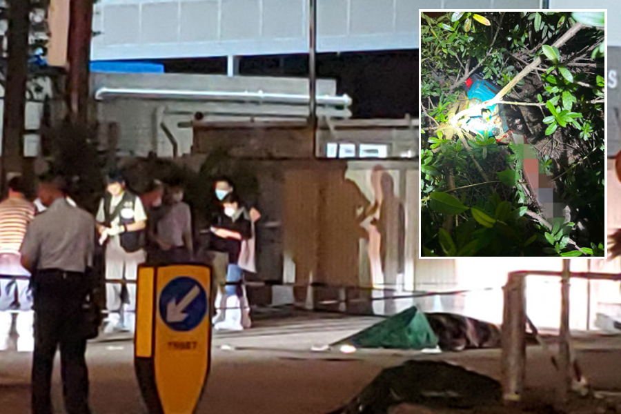 Suspect in chainsaw murder of woman in Yuen Long on the run