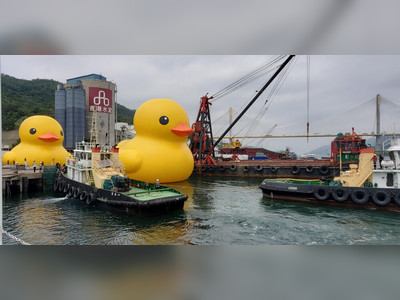 Giant Inflatable Rubber Duck Returns to Hong Kong After a Decade with New Friend