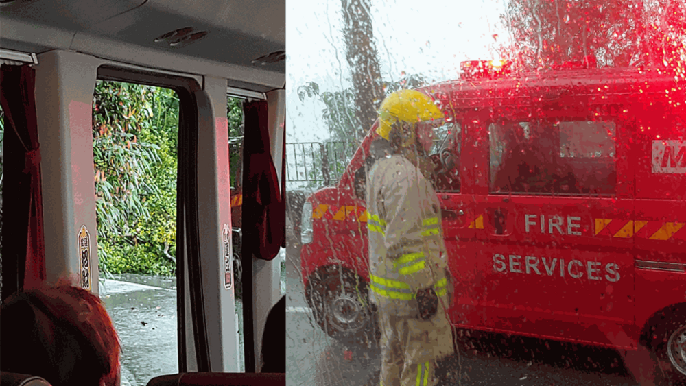 Tree fell, lorry slipped as the first red rainstorm signal of the year hoisted